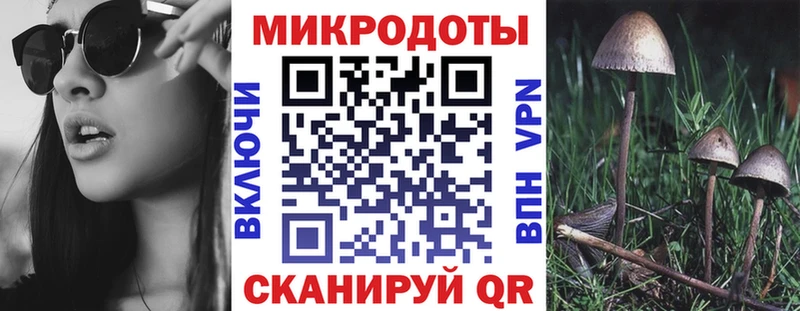 Псилоцибиновые грибы ЛСД Купить Красный Холм